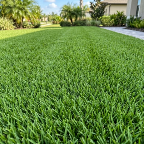 Zoysia Grass lawn final look in Meadow Pointe