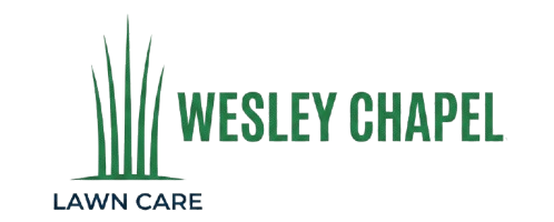 lawn care in wesley chapel fl