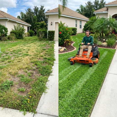 lawn mowing work before and after inMeadow Pointe wesly chapel fl